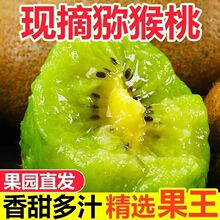 正宗猕猴桃绿心奇异果孕妇水果徐香新鲜纯天然猕猴桃现摘现发
