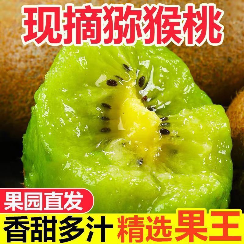Authentic Kiwi Green Heart Kiwi Fruit for Pregnant Women Xu Xiang Fresh Pure Natural Kiwi Fruit Freshly Picked