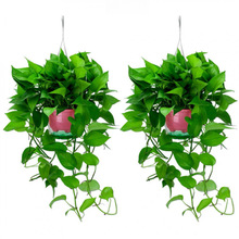 G}Իܴ~LٺBˮֲ҃ȳmkҾGֲQl