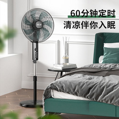 Skyworth Electric Fan Floor Fan for Home and Office, Quiet Reversible Upright Floor Fan with Remote Control and Timer, Dropshipping