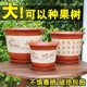 Resin plastic flowerpot extra large imitation ceramic thickened durable retro flowerpot large factory direct sale clearance