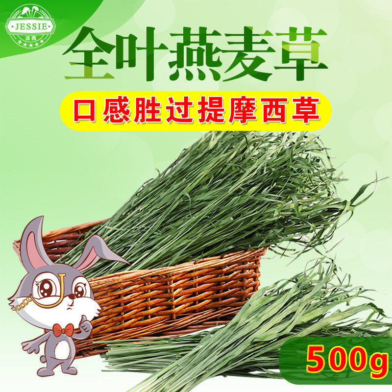 8bd33c30-9e48-4fd9-ae29-df47d2af7c5d.jpe