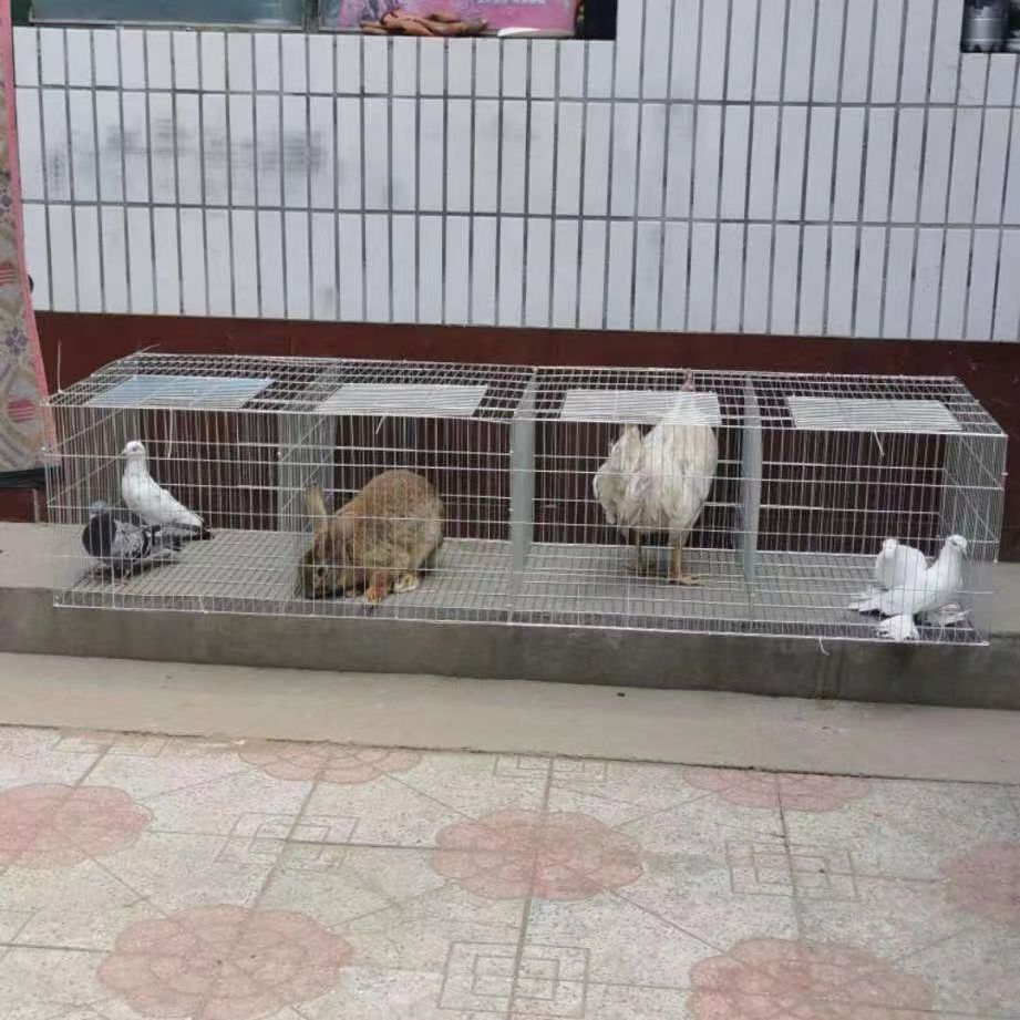 加粗兔笼兔子笼子鸽子笼家用养殖笼鸡笼镀锌铁丝笼运输特大号笼子