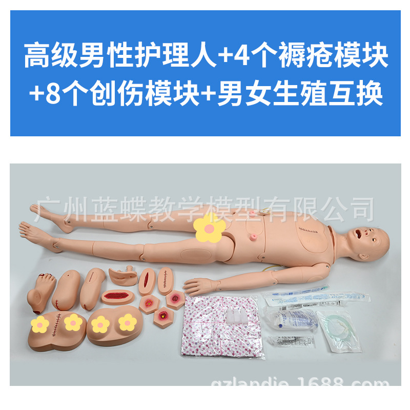 ҽѧģ����ģ�Ͷ๦�ܻ�������ģ�ػ�����ѵ������Ƥ�����ķθ���