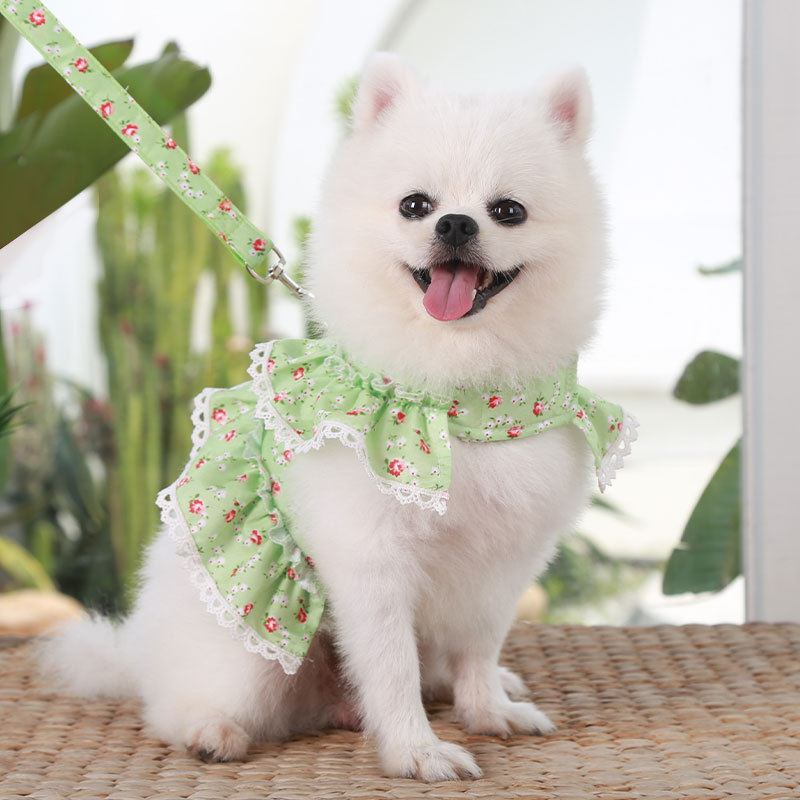 Cute Polyester Ditsy Floral Leash display picture 9
