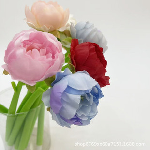 Դ�^�S��ֱ�Nܛ�z���滨ĵ�����⹤ˇ�P�_�I�YƷ�A��P