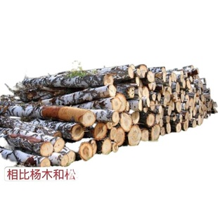 �ŹǼ�ľ�l���廡�Ώ����z�ϰ��N��ľ�lɳ�l����֧�����Ǵ���