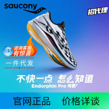 Saucony21¿̼ЬENDORPHIN PRO22