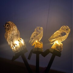 国境を越えたアマゾン太陽フクロウオウムLED樹脂ランプ屋外防水鷹床ランプ芝生ランプ