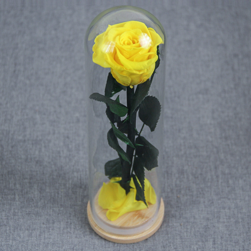 Flor inmortal Little Prince Star Sea Watchman una sola rama de rosa cubierta de vidrio Amazon Día de San Valentín Regalo del Día de la Madre