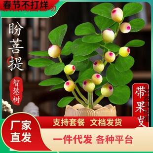 һ�����l���������С�������辰������ʽ�U������[���҃Ȅ����