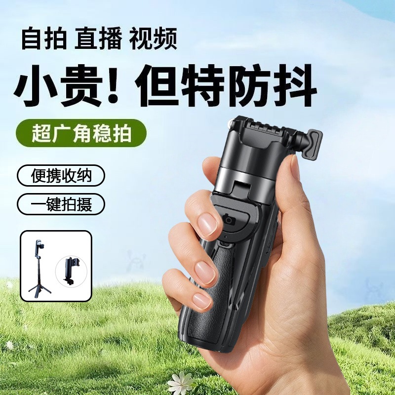 Portable Stand