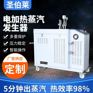 定制电热式蒸汽发生器熨烫养护酿酒电加热锅炉全自动高效厂家批发