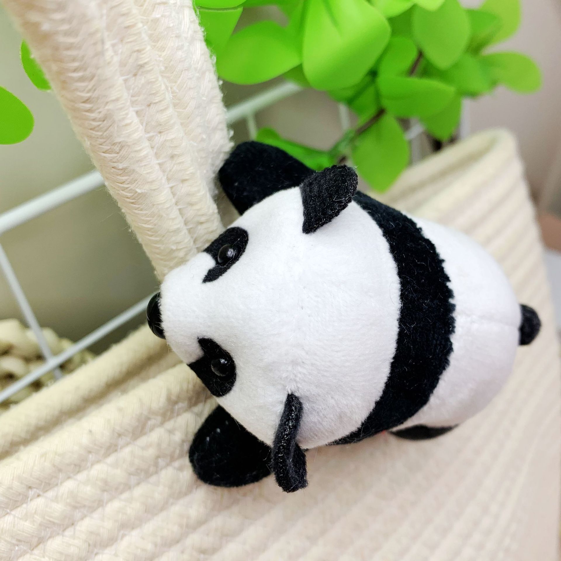 Cartoon accessory