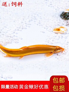 �^�p�S���qС�������q�r���w�䵭ˮ�坍�����~��������������B