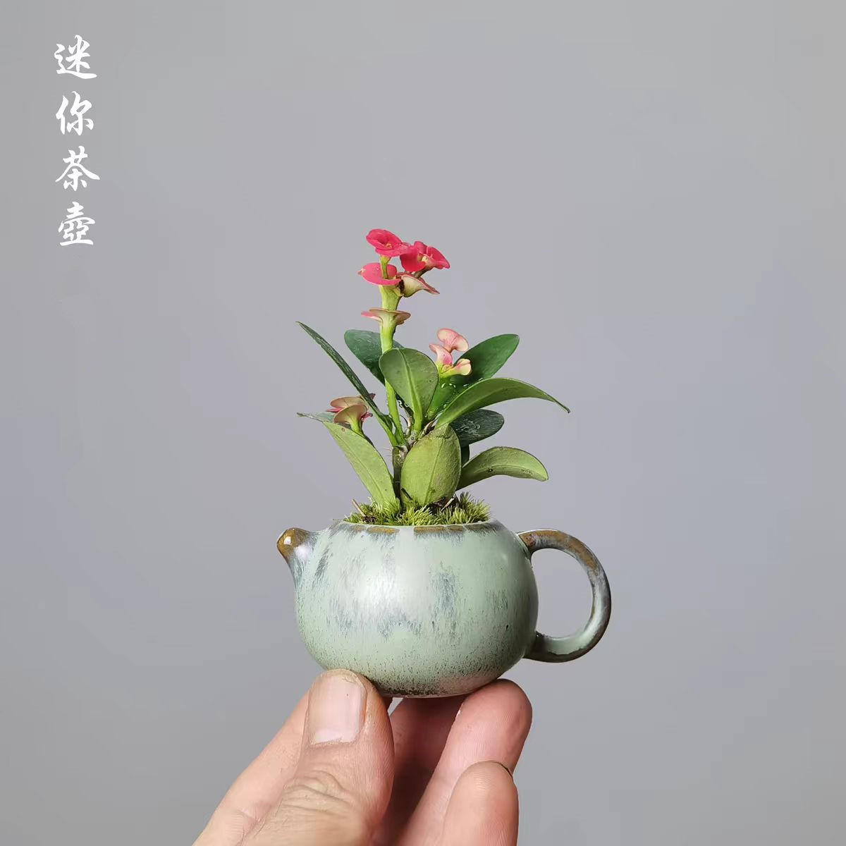 微信图片_20240526161740