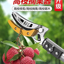 ժˮ��������s�U��ժ��֦������÷�������֦���߿�֦���ÃH�T