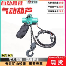 气动葫芦防爆起重设备3吨5吨10吨型号齐全负载气动提升机气动葫芦