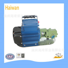 厂家供应WCB-75手提式自吸油泵 大流量高扬程 柴油煤油汽油加油泵