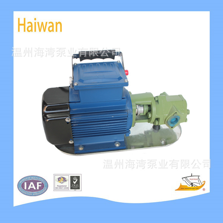 厂家供应WCB-75手提式自吸油泵 大流量高扬程 柴油煤油汽油加油泵