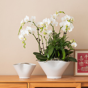 ��ɫ�����m�����մ��p�ݸ߼��м��ÿ͏d��̖�����m��͸�⌣����