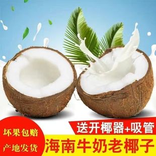 �������rҬ����Ҭ��ˮ���ЋDҬ��Ҭ��ȥƤëҬ��եҬ֭Ҭ���u�Ҝ�