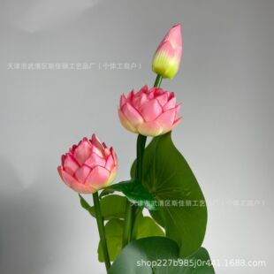 �ɻ����滨���~��ʽ�ٻ�����ɏ���������÷�̨�[���̈��b����l