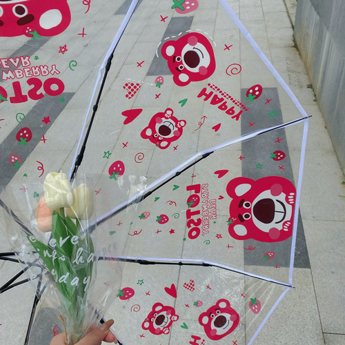 Pacha Dog Transparent Umbrella Women's Long-Handed Japanese High-Value Cartoon Cute Fully Automatic Folding Thickened Reinforced Internet Famous Umbrella