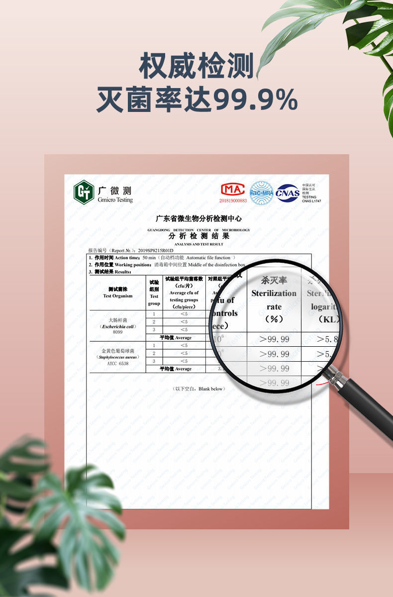 555dfb78-62a9-4954-969d-88daf0a5f5e8.jpe