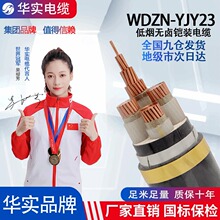 ��|늾��͟��o�u��ȼ�ͻ�䓎��z�b�͉������|�~о��WDZN-YJY23