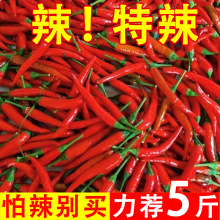 小米辣椒新鲜现摘小米椒特辣朝天椒超辣薄皮椒指天椒红皮椒9斤