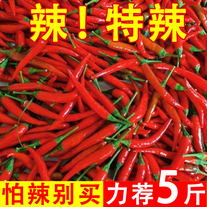 小米辣椒新鲜现摘小米椒特辣朝天椒超辣薄皮椒指天椒红皮椒9斤