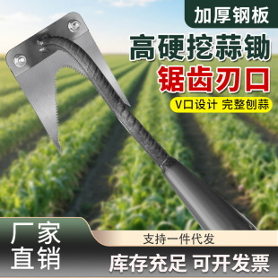 Garlic Digging Artifact Two-Teeth Saw-Teeth Harrow Turnaround the Soil and Loosen the Soil Multifunctional New Manganese Steel Digging Artifact for Dig Shepherd's Purse Digging Garlic