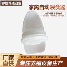 家禽自动喂食器喂鸡食槽芦丁鸡饲料桶饮水器小鸡鸭鹅自动喂鸡