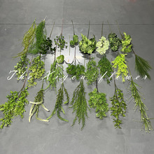 ���ϾGֲ ����Gֲ ��c�����~�� �Ƶ��Y�b� ����·���廨�S��