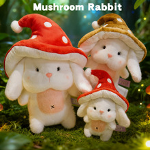 �羳����Ģ�����ӹ���ë�q���mushroon rabbit��ż���ރ�ͯ�Y��
