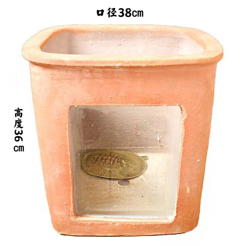 거북이 물탱크 전시