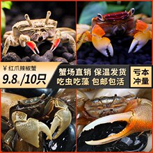 ��������з����з��܊з�г�з���w�����з�~���^�pз���x����з