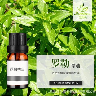 �_�վ���Basil oil�η�����ֲ�����ϰ�Ħ��޹�{���ջ�ԭ�����l