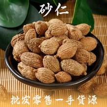 砂仁阳春砂仁中药材正宗砂仁500g散装无熏硫砂仁干果泡茶煲汤香料