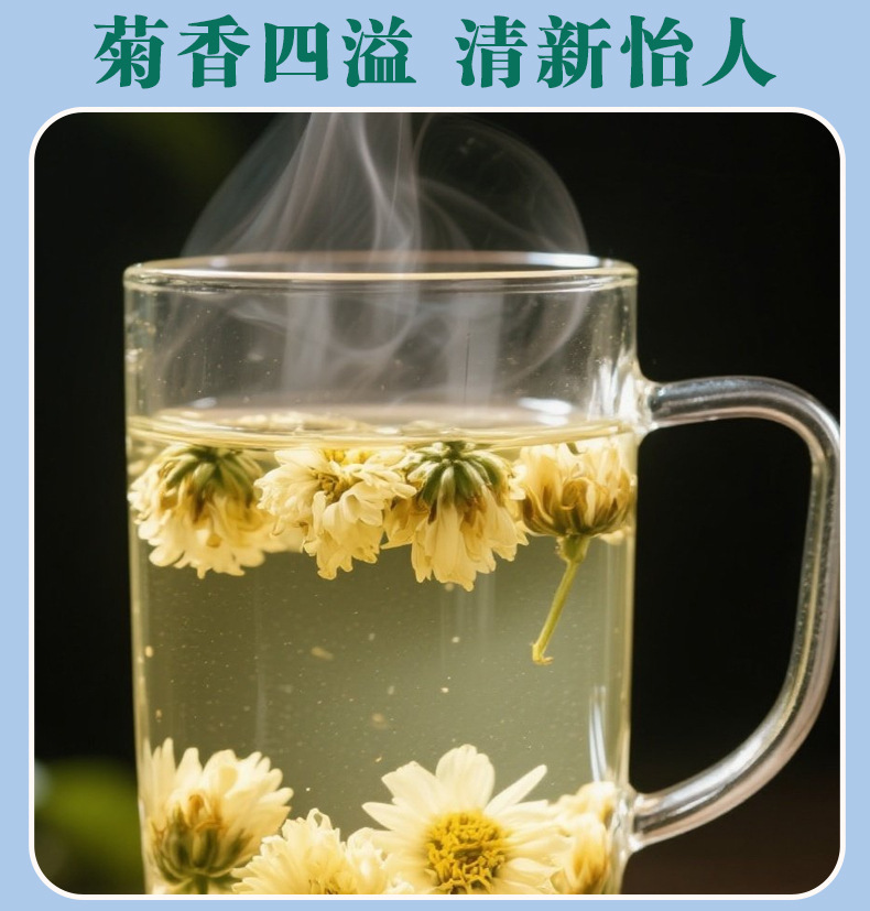 Tai Ju Chrysanthemum Tea 40g Jar Dried Flos Chrysanthemi Buds for Daily Brewing preparation