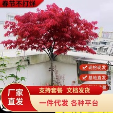 һltļtձt輧辰t@־G