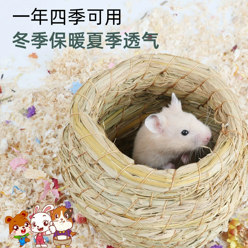 Золотой медведь-хомяк зимнее гнездо, чтобы избежать дома зимой