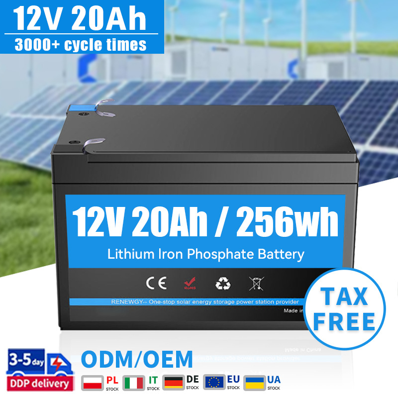 [12V 20Ah Lithium Iron Phosphate Battery Pack Smart BMS 24V]