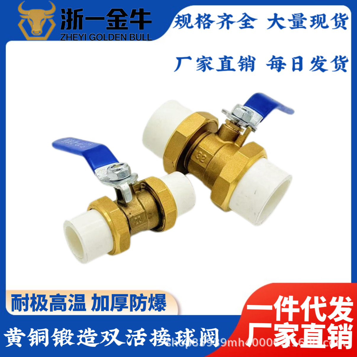 Brass Forged Ppr Double Union Ball Valve, Heat-Melt Pipe Valve, High Temperature Resistant Radiator Valve, Double-Head Union Ball Valve