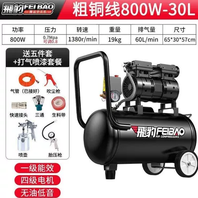 inflating pump | Hava kompressorları - yingxiao-all-copper-800w-30l-air-powered-paint-sprayer