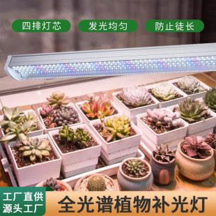 Full Spectrum Plant Lamp Indoor Succulent Fill Light Cross-Border Imitation Sunlight Led Plant Growth Lamp