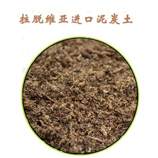 Imported Peat Soil for Seedling Propagation, Vegetable and Flower Planting, Special Soil for Rose, Peony, Fruit Trees, Succulents and Gardening