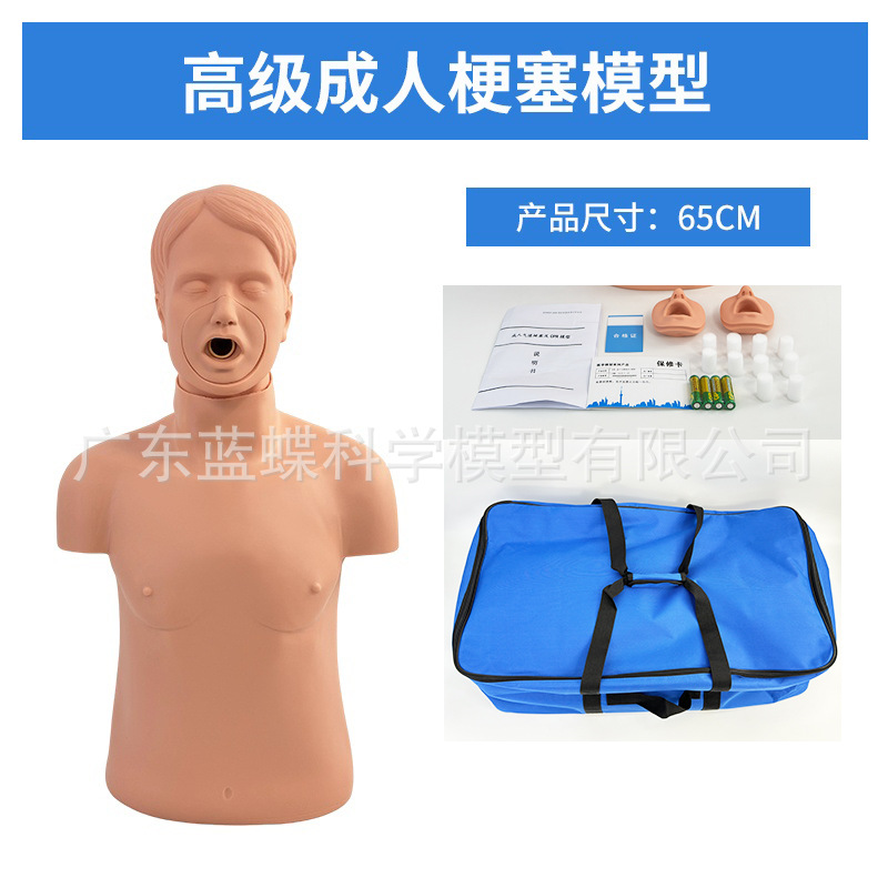 ���˶�ͯӤ������ģ�� ��ķ���˼���ѵ�� �����������﹣�輱�ȷ�