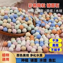 彩色陶粒多肉花园铺面防滑路面鱼缸造景阳台装修透气营养土一件